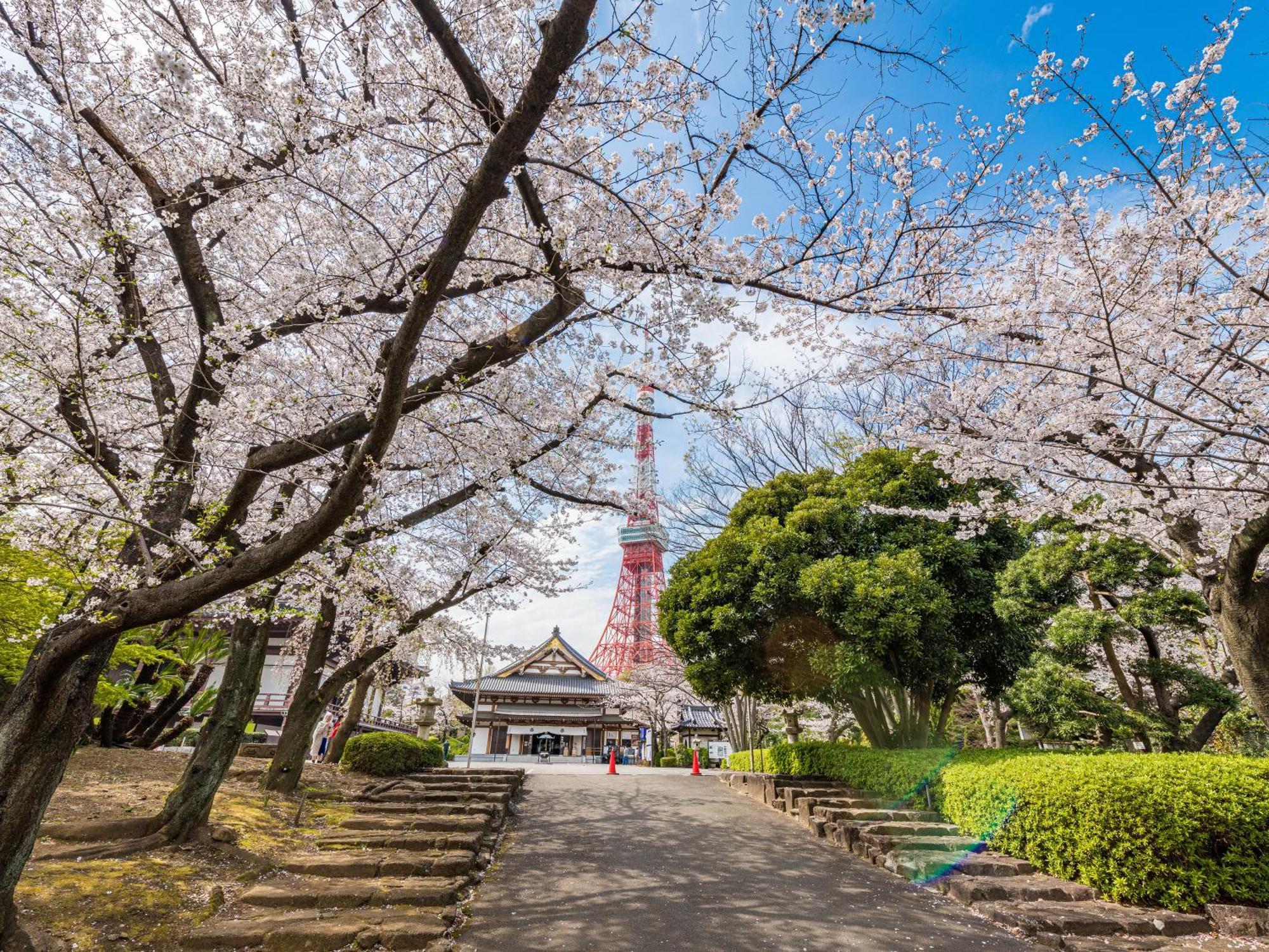 Illi Rom Hamamatsucho Hotel Tokyo Bagian luar foto